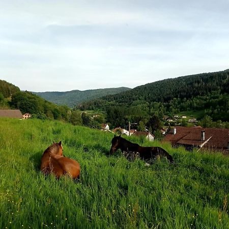 Gite De Famille Dans Les Vosges Saint-Maurice-sur-Moselle Eksteriør billede
