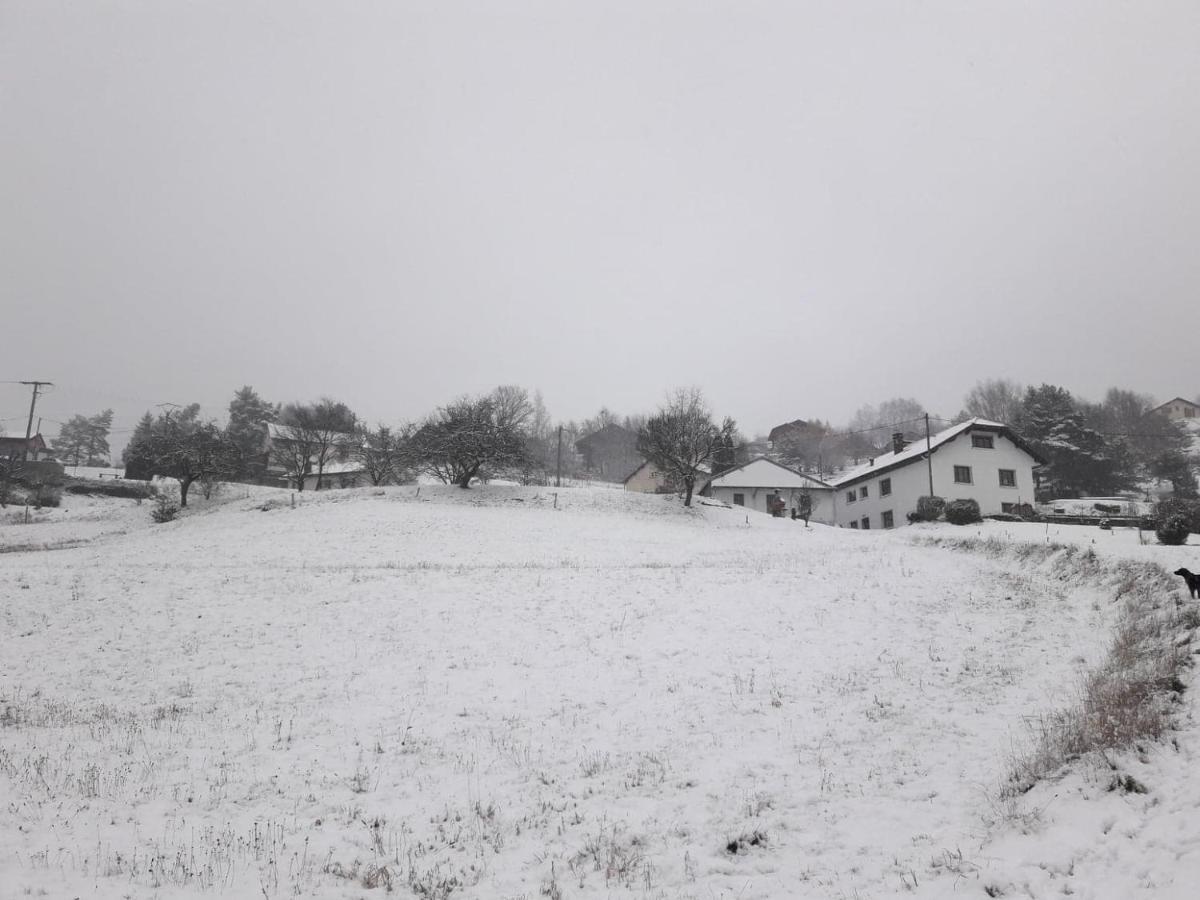 Gite De Famille Dans Les Vosges Saint-Maurice-sur-Moselle Eksteriør billede
