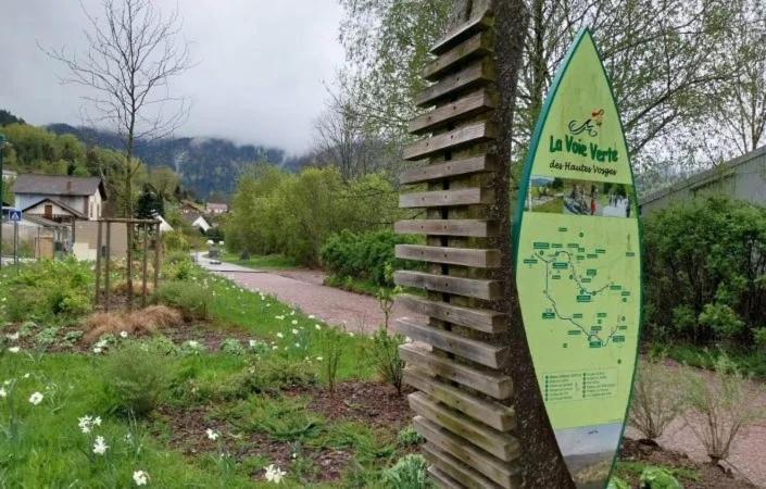 Gite De Famille Dans Les Vosges Saint-Maurice-sur-Moselle Eksteriør billede