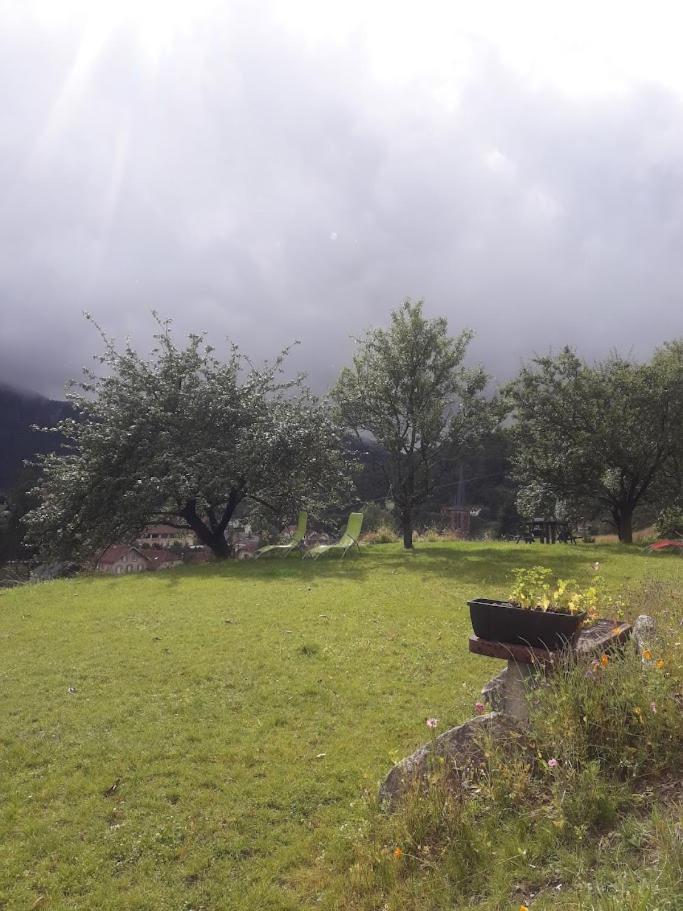 Gite De Famille Dans Les Vosges Saint-Maurice-sur-Moselle Eksteriør billede