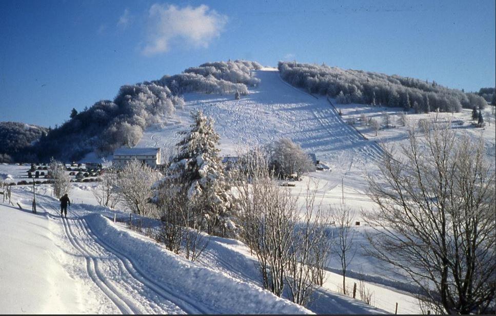 Gite De Famille Dans Les Vosges Saint-Maurice-sur-Moselle Eksteriør billede
