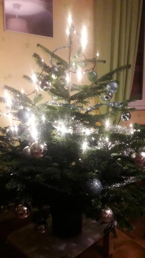 Gite De Famille Dans Les Vosges Saint-Maurice-sur-Moselle Eksteriør billede